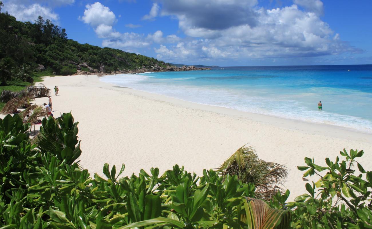 Foto de Playa Petite Anse con arena fina blanca superficie