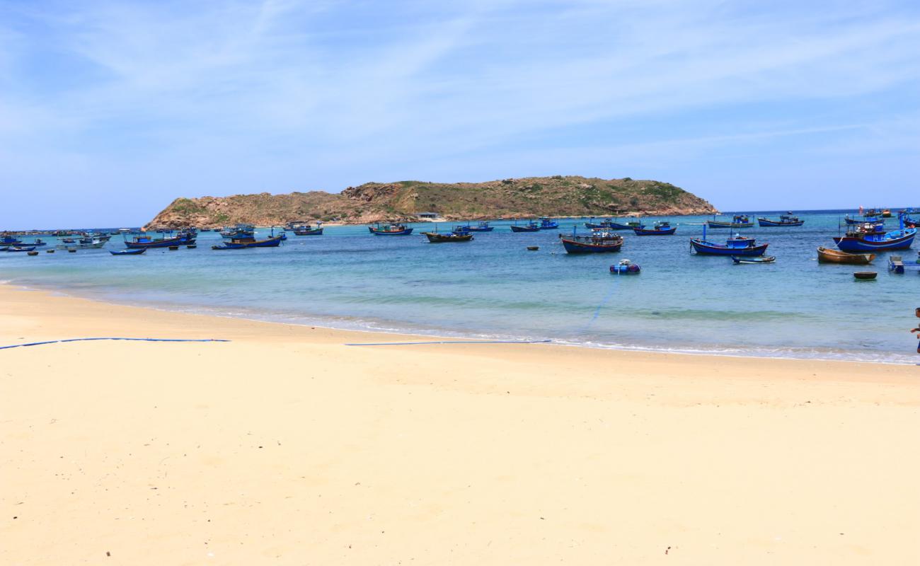 Foto de Nhon Hai Beach con arena brillante superficie