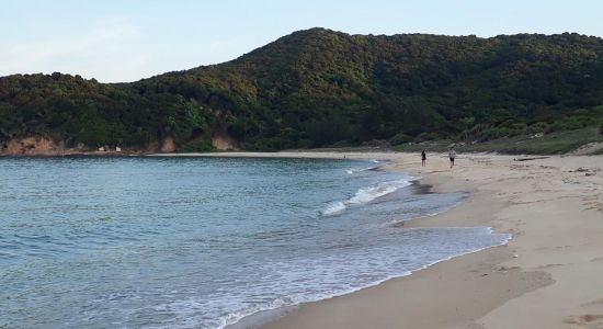 Ba Chau Beach