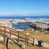 Vermont Tidal Pool