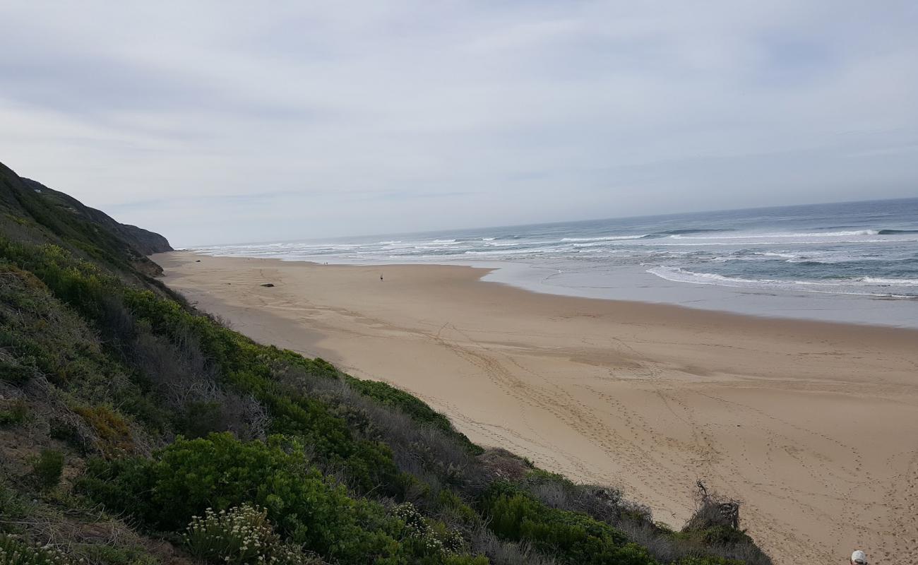 Foto de Groenvlei beach con brillante arena fina superficie