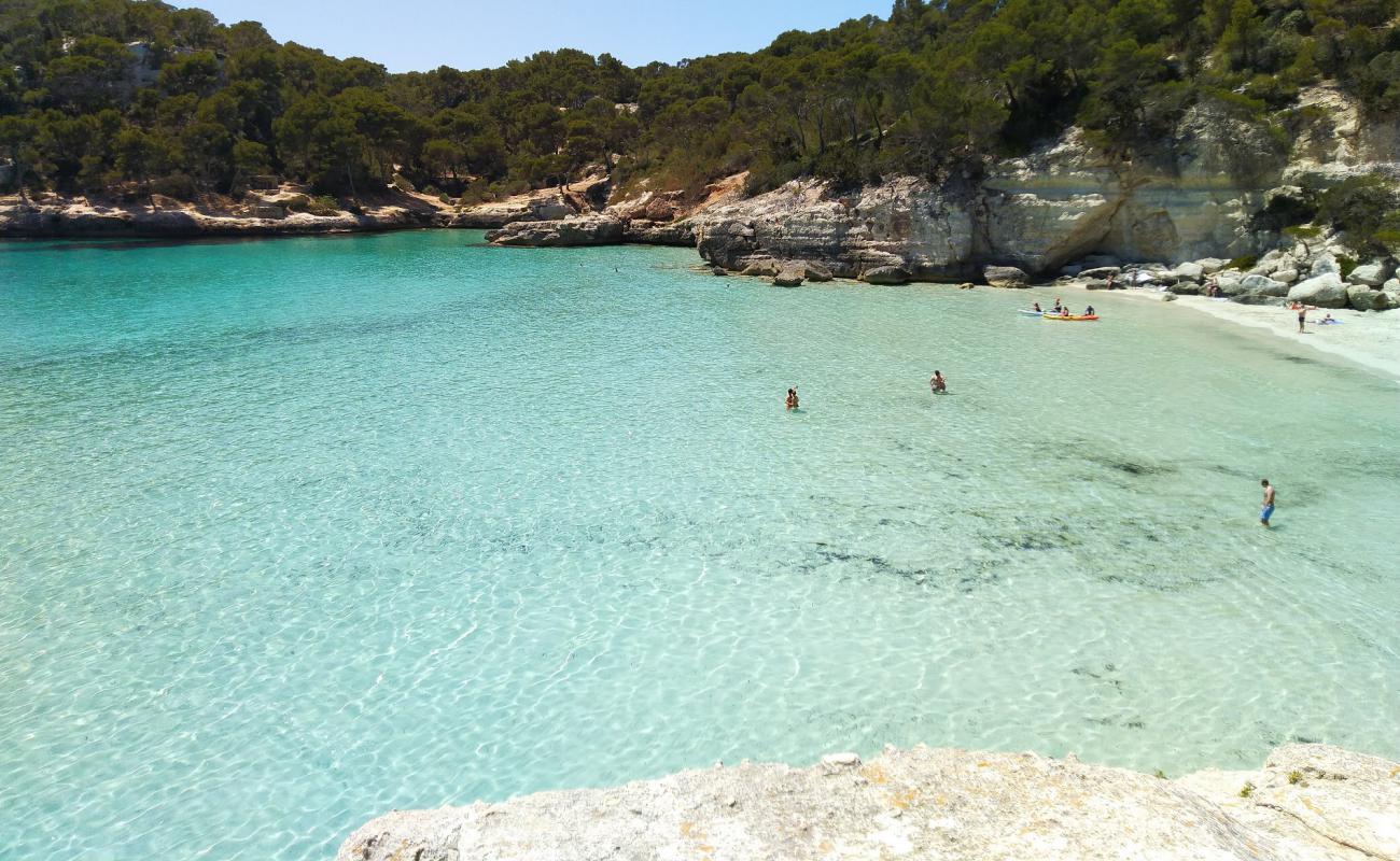 Foto de Cala Mitjana con brillante arena fina superficie