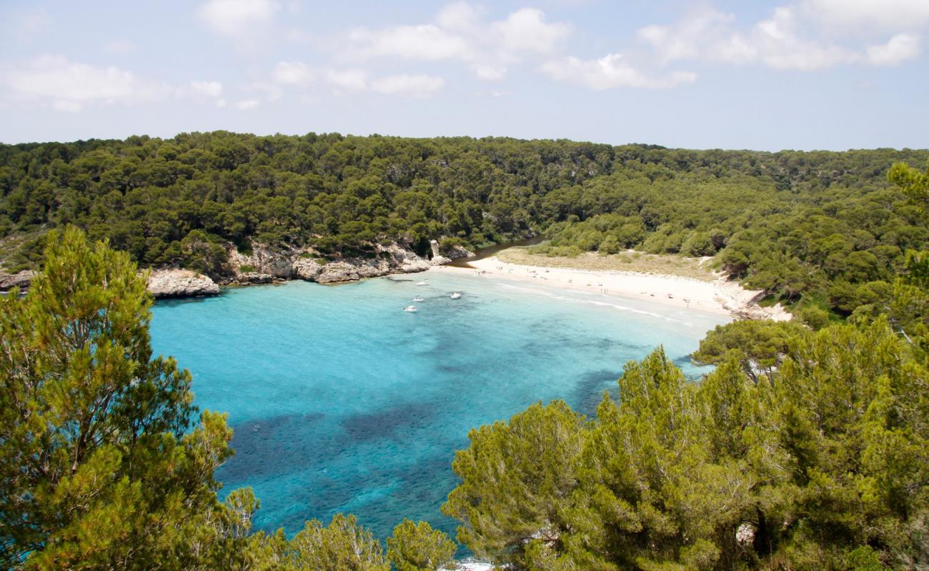 Foto de Cala de Trebalúger con brillante arena fina superficie