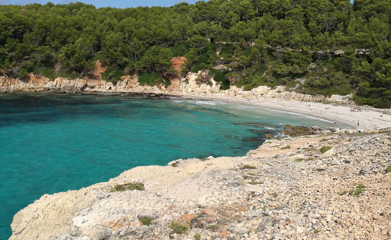 Foto de Playa Cala Escorxada con brillante arena fina superficie