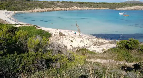 Playa de Arenal Son Saura