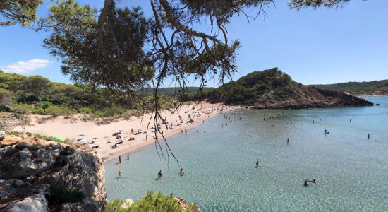 Playa Cala Algaiarens II