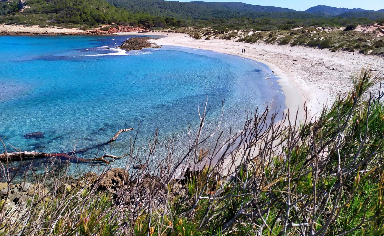 Foto de Cala Algaiarens con brillante arena fina superficie