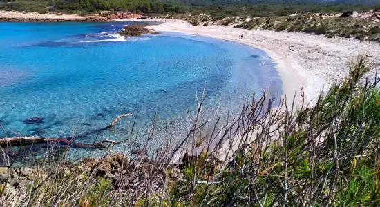 Cala Algaiarens