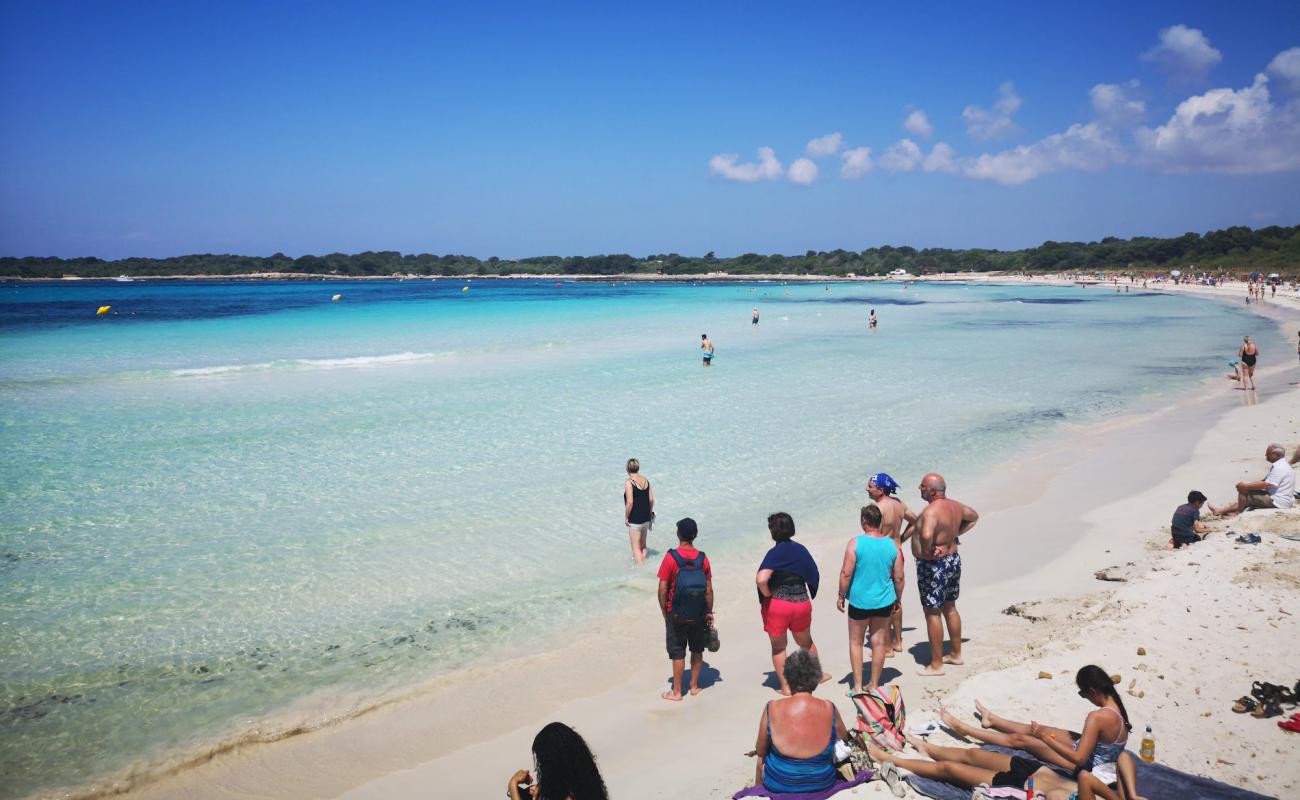 Foto de Playa Bellavista con brillante arena fina superficie