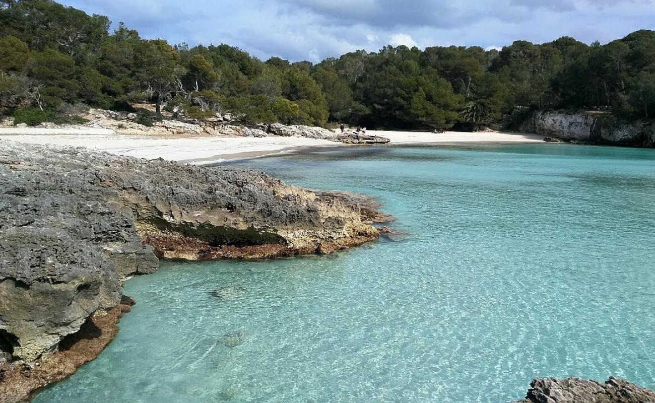 Foto de Cala en Turqueta con brillante arena fina superficie