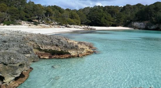 Cala en Turqueta