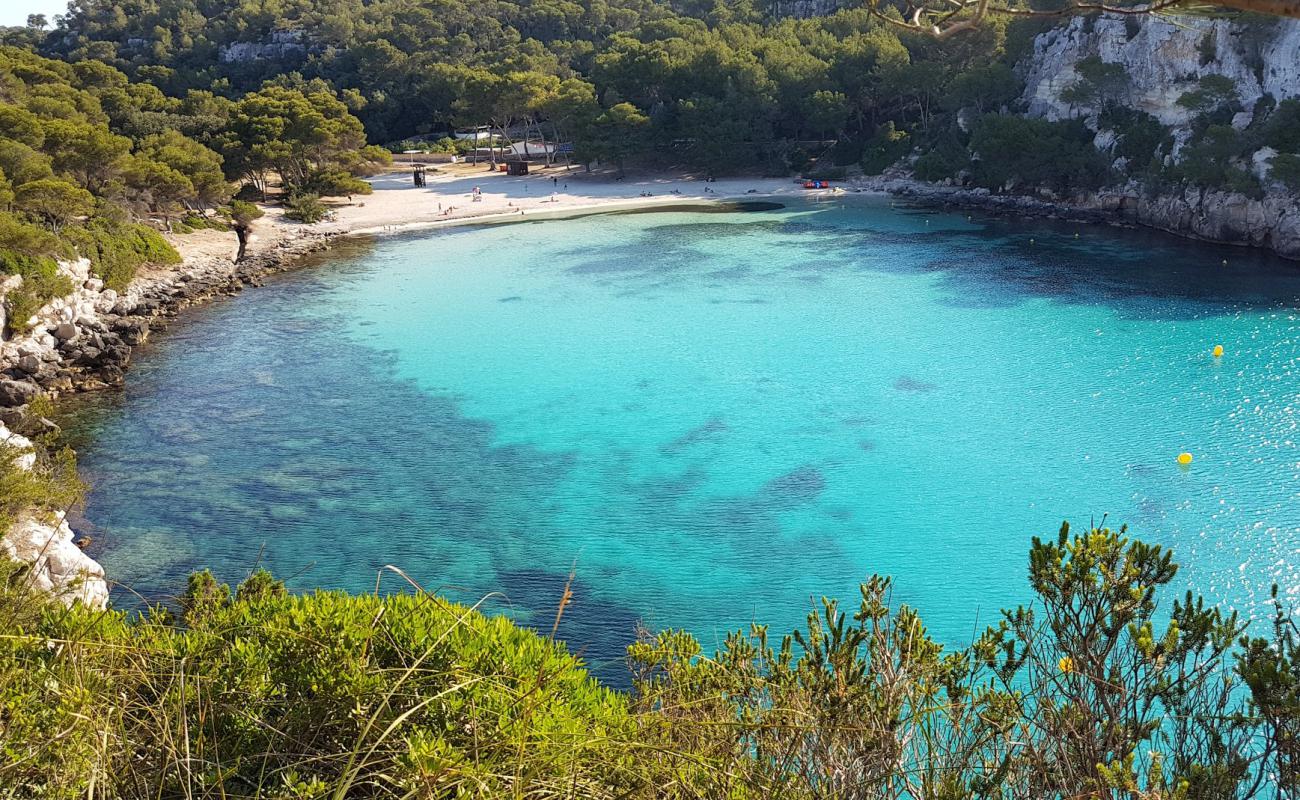 Foto de Cala Macarella con brillante arena fina superficie