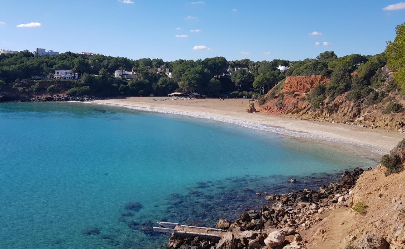 Foto de Cala Llenya Beach con brillante arena fina superficie