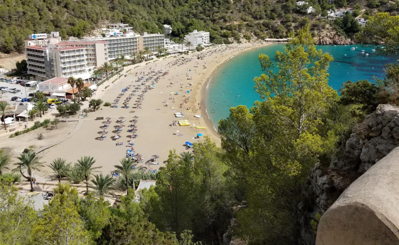 Foto de Cala de Sant Vicent con brillante arena fina superficie