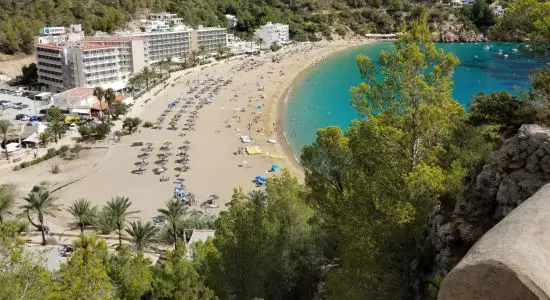 Cala de Sant Vicent