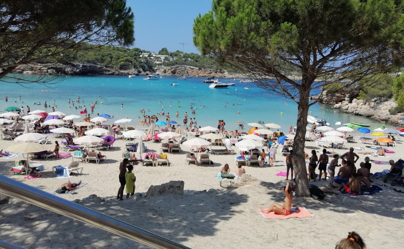 Foto de Playa de Portinatx con brillante arena fina superficie