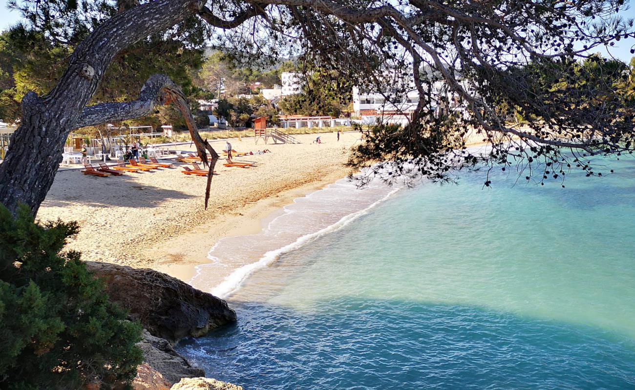 Foto de Alma Beach con brillante arena fina superficie