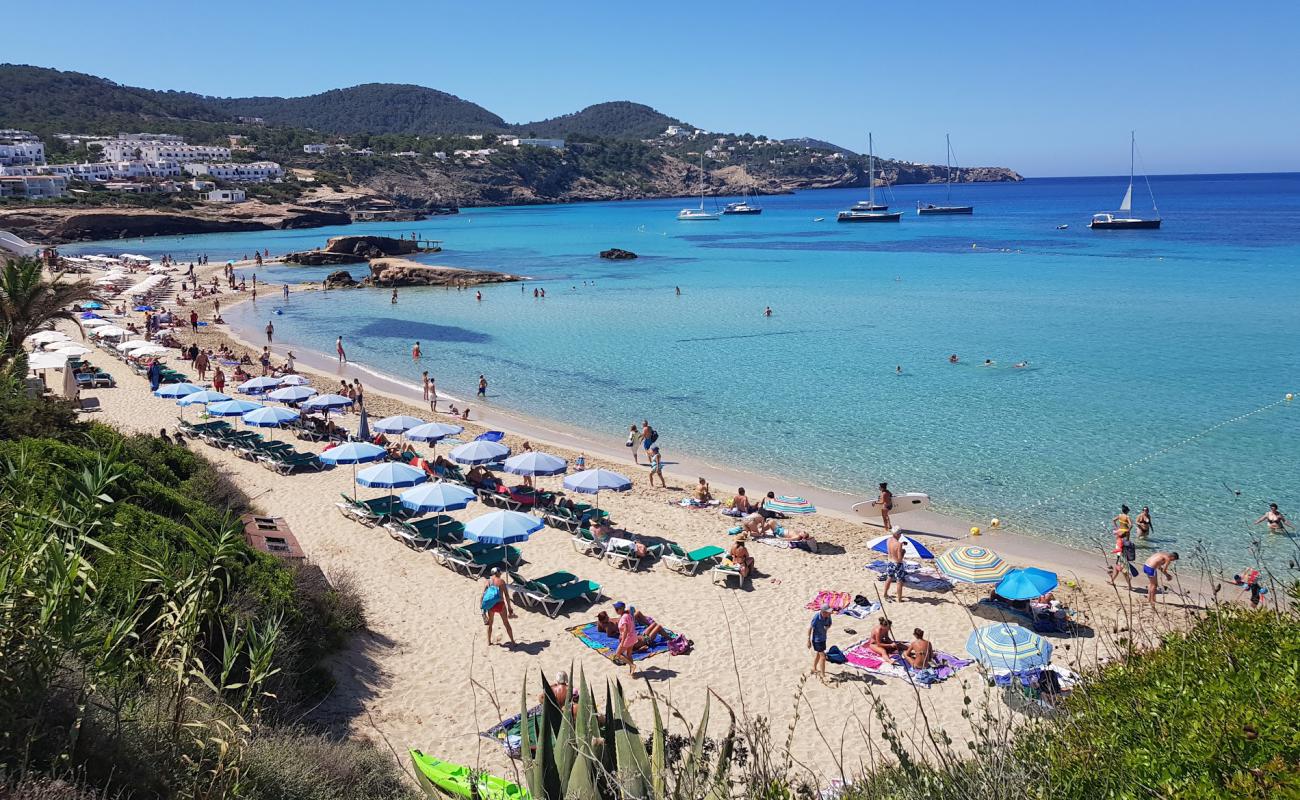 Foto de Cala Tarida con brillante arena fina superficie