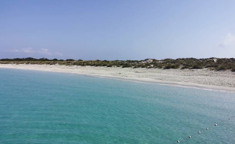 Foto de Platja Es Cavallet - Es Cavallet Beach con brillante arena fina superficie