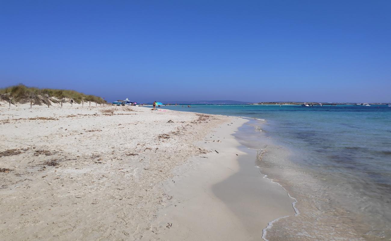 Foto de Platja de S'Alga con arena fina blanca superficie