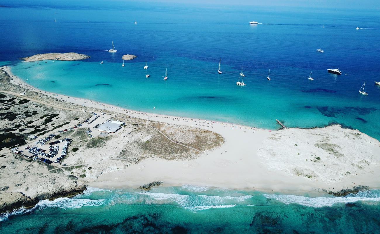 Foto de Platja de les Illetes con arena fina blanca superficie