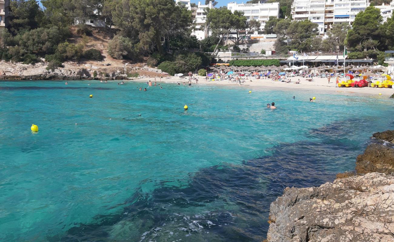 Foto de Platja d'Illetes con brillante arena fina superficie