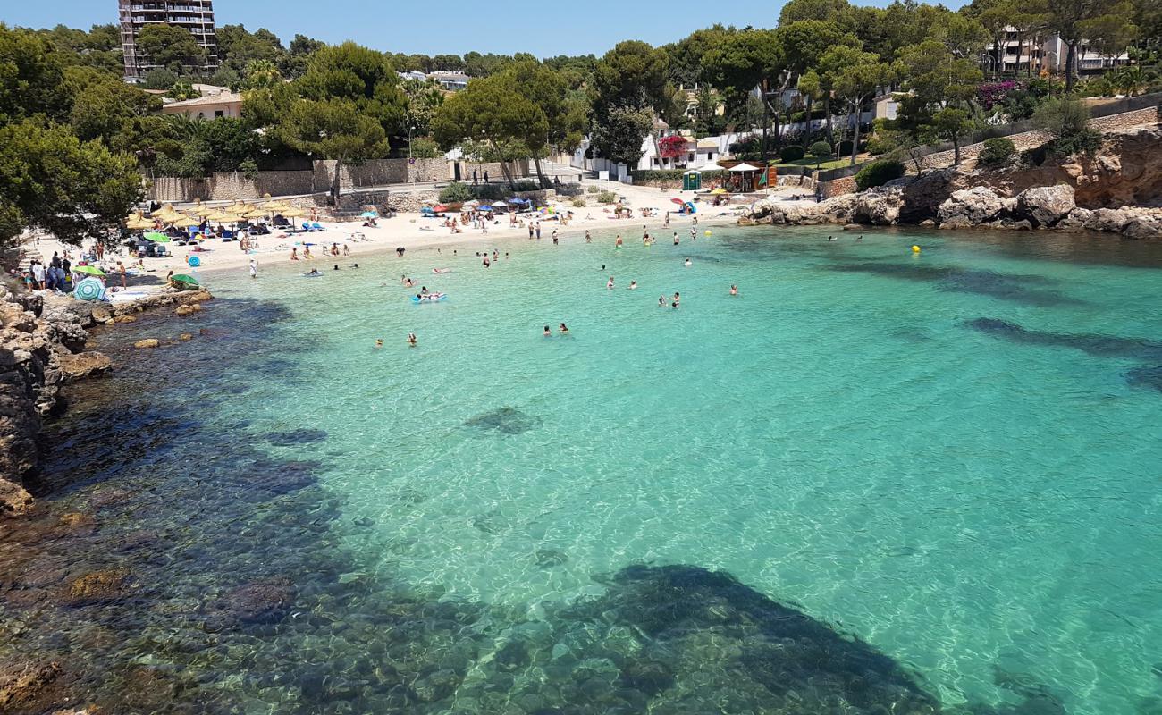 Foto de Caleta de Portals Nous con brillante arena fina superficie