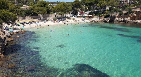 Caleta de Portals Nous