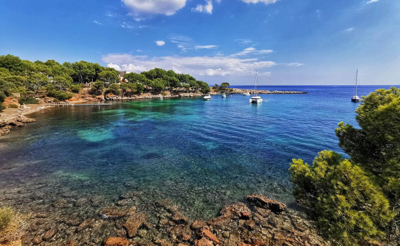 Foto de Platja de Mardavall con piedra superficie