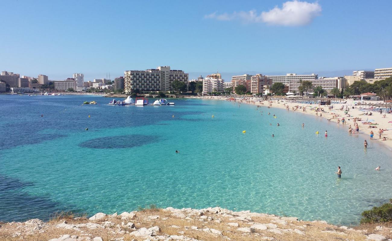 Foto de Playa de Palmanova II con brillante arena fina superficie