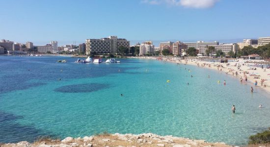 Playa de Palmanova II