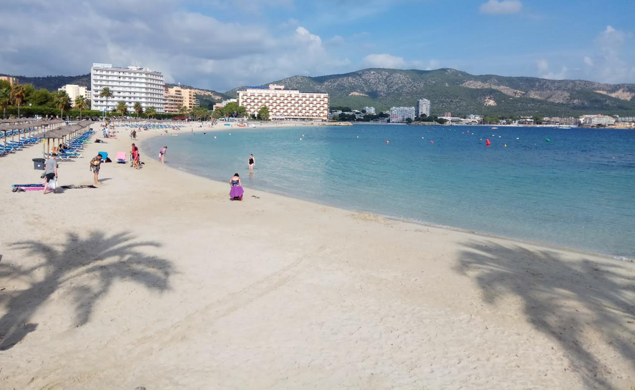 Foto de Playa de Palmanova con brillante arena fina superficie