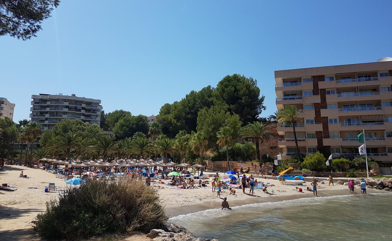 Foto de Playa Cala Vinyes con brillante arena fina superficie