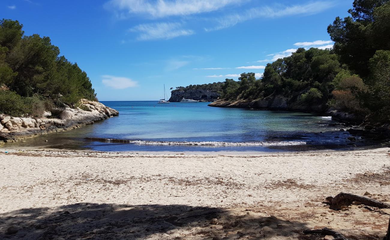 Foto de Caló dels Reis con brillante arena fina superficie