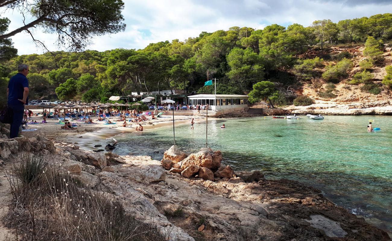 Foto de Cala Portals Vells con brillante arena fina superficie