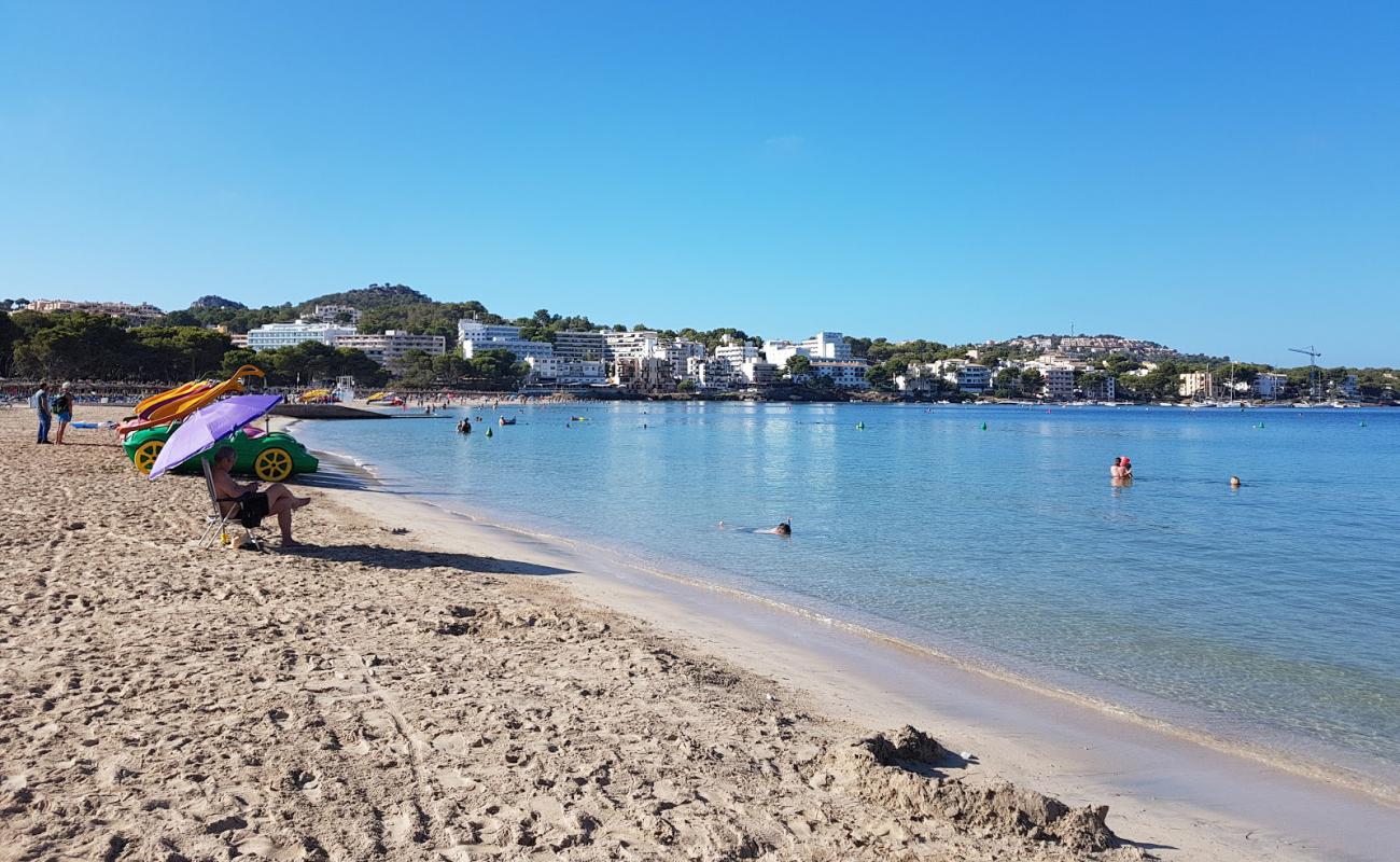 Foto de Playa Santa Ponsa con brillante arena fina superficie