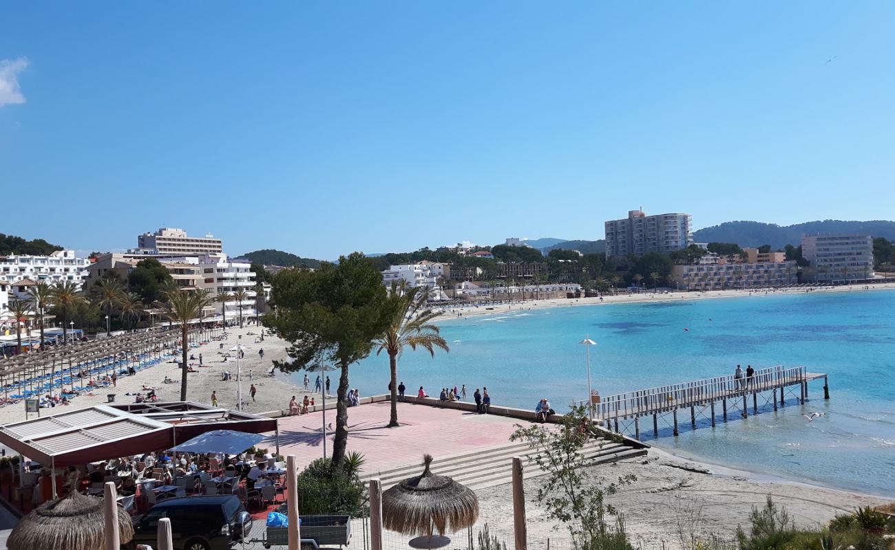 Foto de Platja Gran de Torà con brillante arena fina superficie