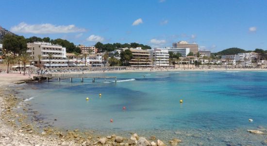 Playa de Peguera