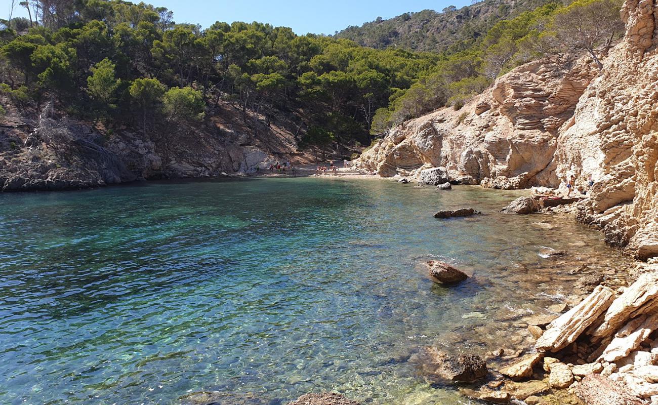 Foto de Caló d'en Monjo con arena brillante y rocas superficie