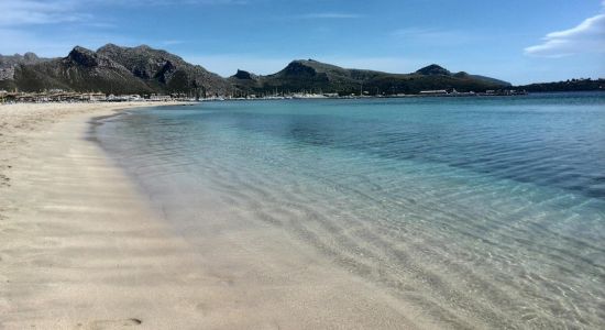 Playa de Pollença