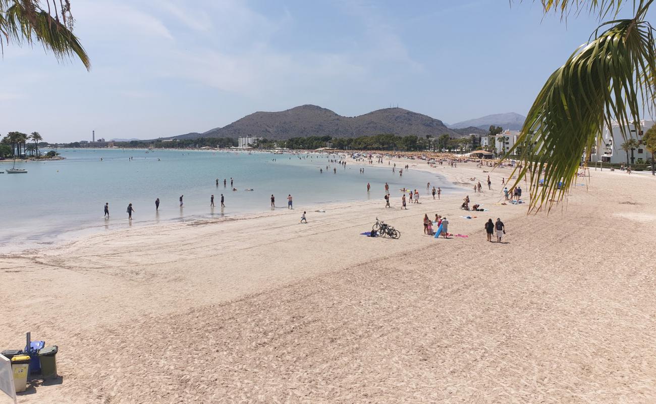 Foto de Playa de Alcudia con brillante arena fina superficie