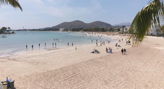 Playa de Alcudia