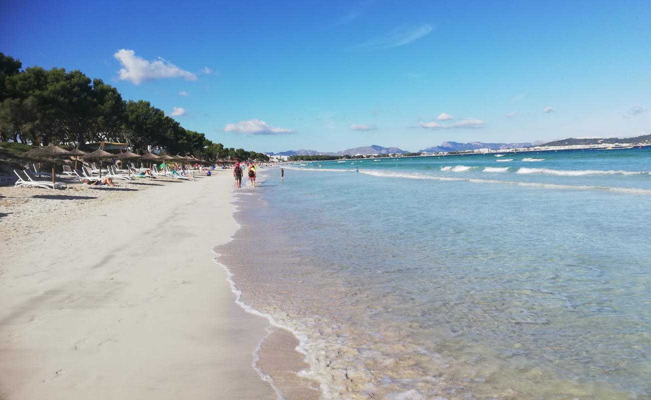 Foto de Alcudia Beach 2 con brillante arena fina superficie