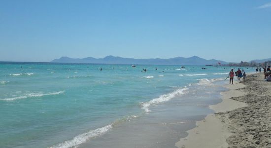 Playa de Muro