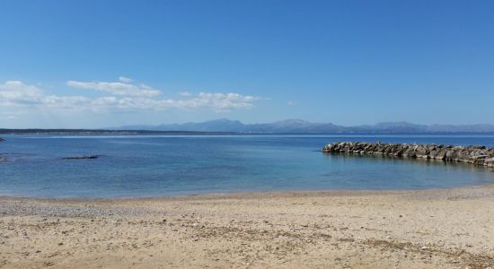 Platja Colònia