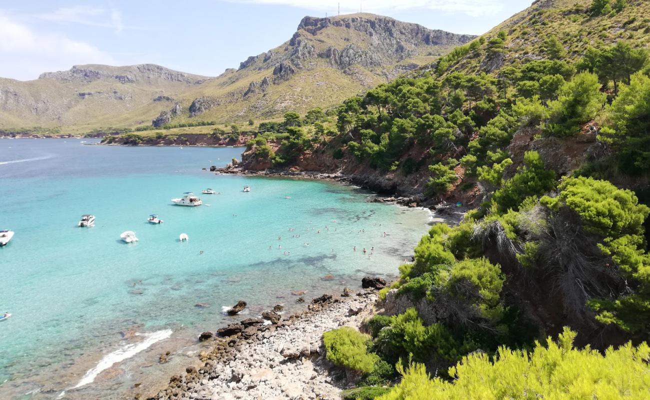 Foto de Cala Na Clara con arena brillante superficie