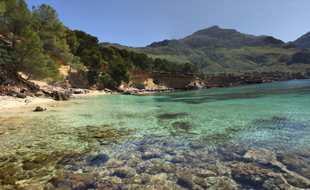 Foto de Platja des Caló - lugar popular entre los conocedores del relax