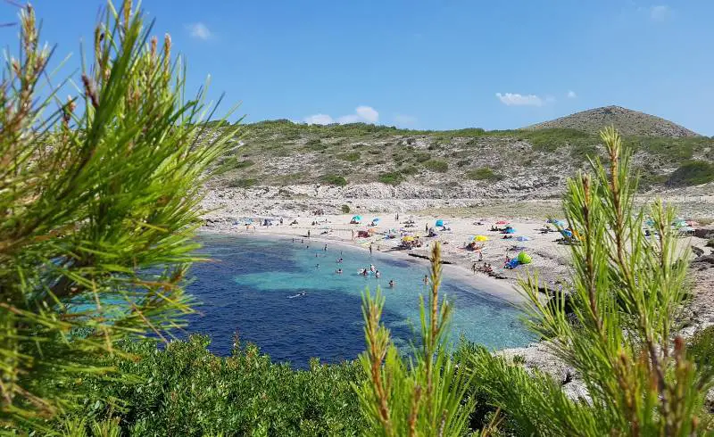 Foto de Cala Mitjana con arena brillante superficie