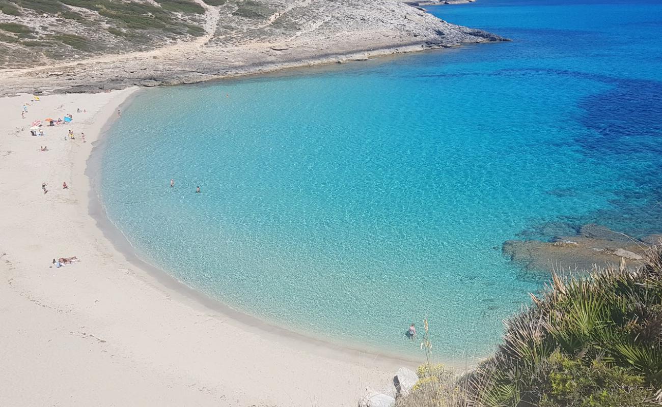 Foto de Cala Torta con brillante arena fina superficie