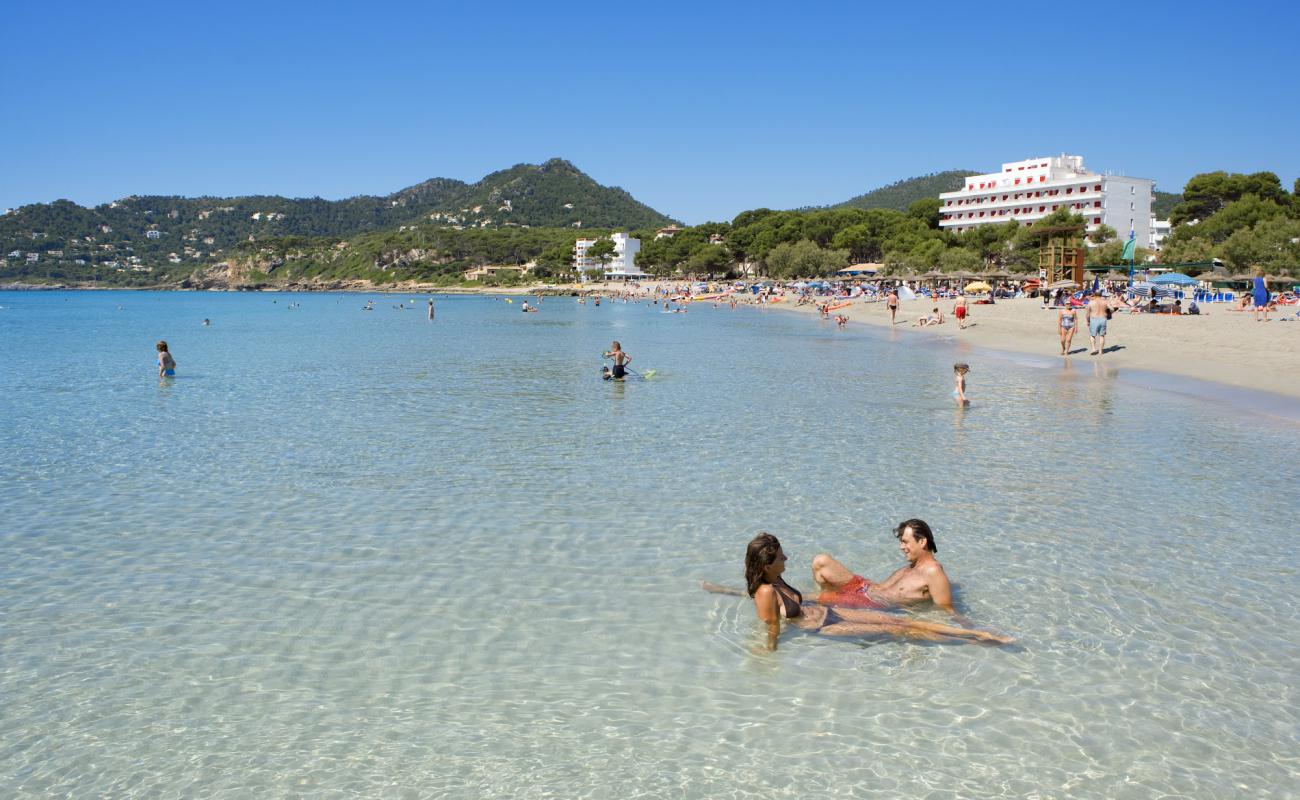 Foto de Platges de Canyamel con brillante arena fina superficie